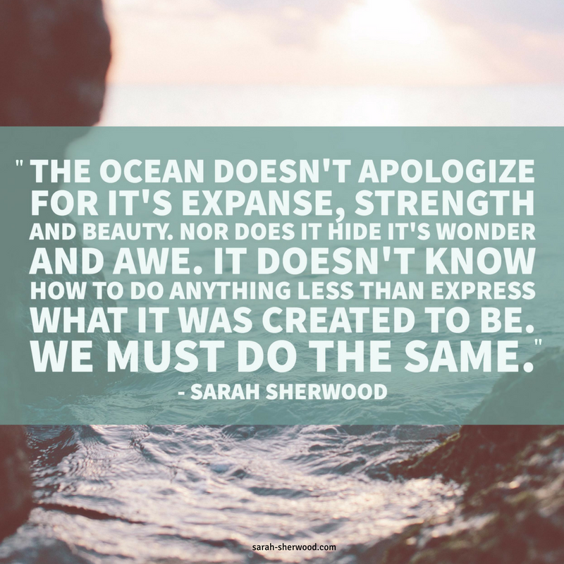 SS The Ocean Doesn't Apologize (1)